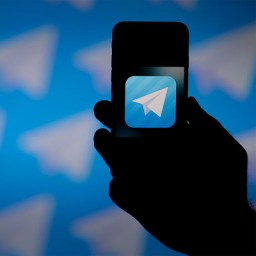 Доходы блогеров в Telegram продолжают падать, сообщила эксперт